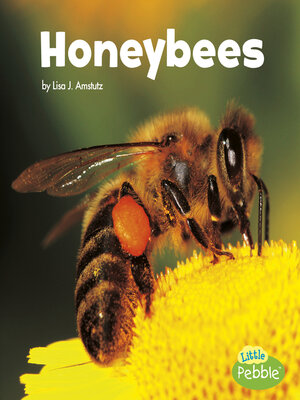cover image of Honeybees